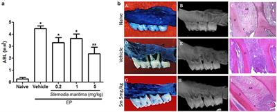 Stemodia maritima L. Extract Decreases Inflammation, Oxidative Stress, and Alveolar Bone Loss in an Experimental Periodontitis Rat Model